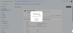 Google Search Console indexing process test live URL